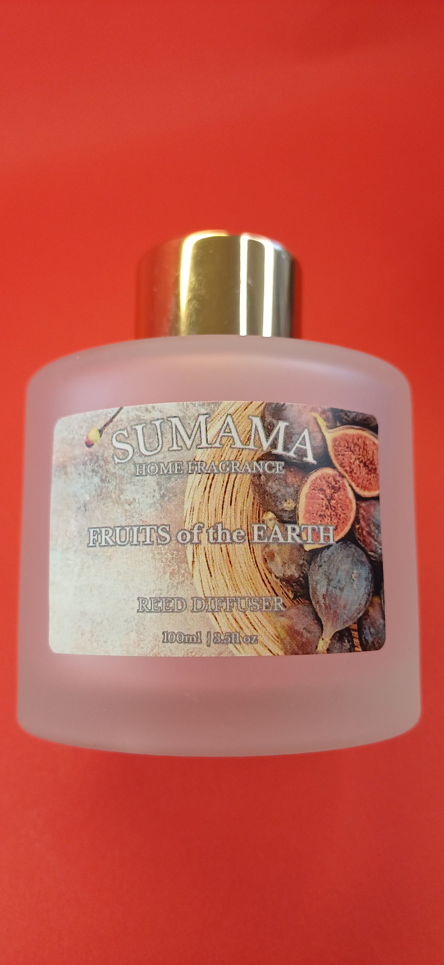 Fruits of the Earth 100ml Diffuser