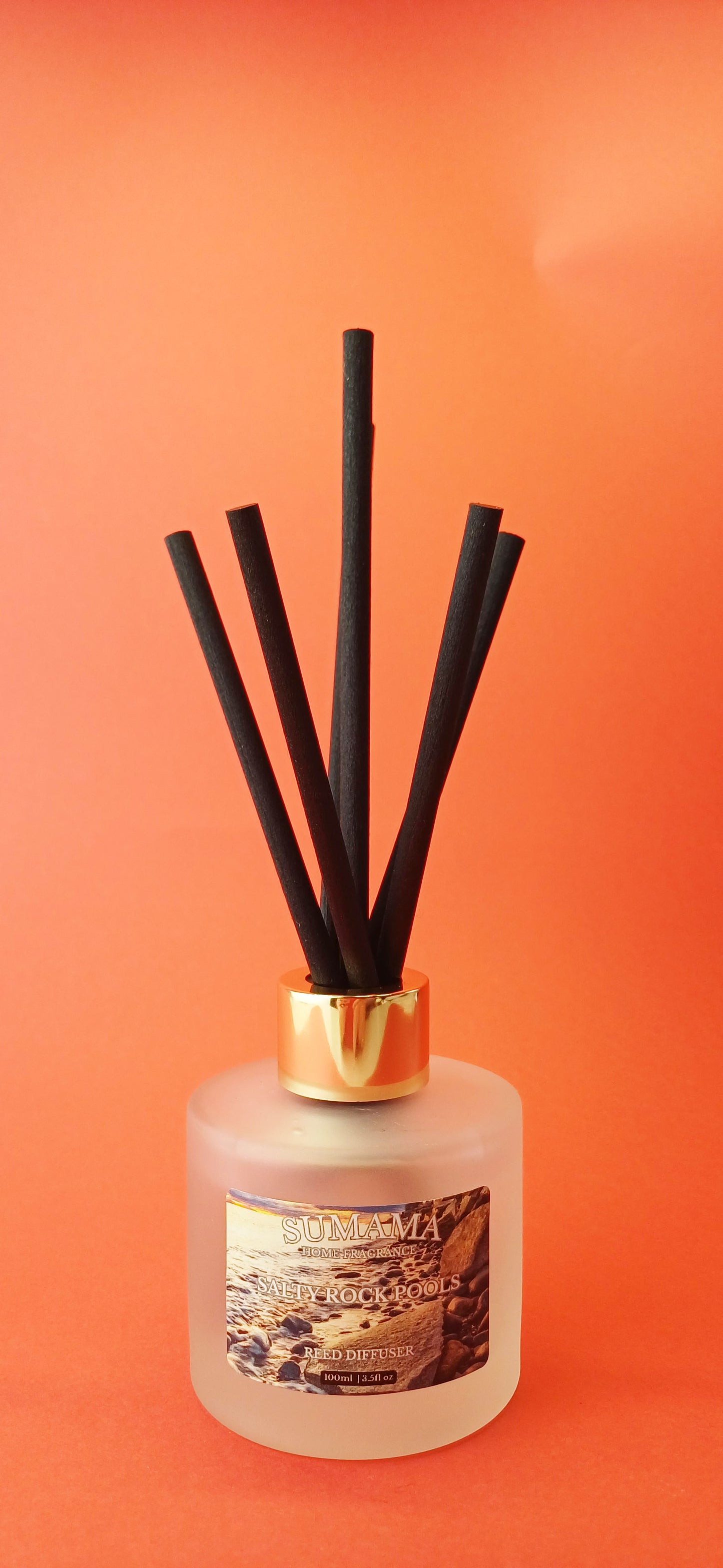 Salty Rock Pools 100ml Diffuser