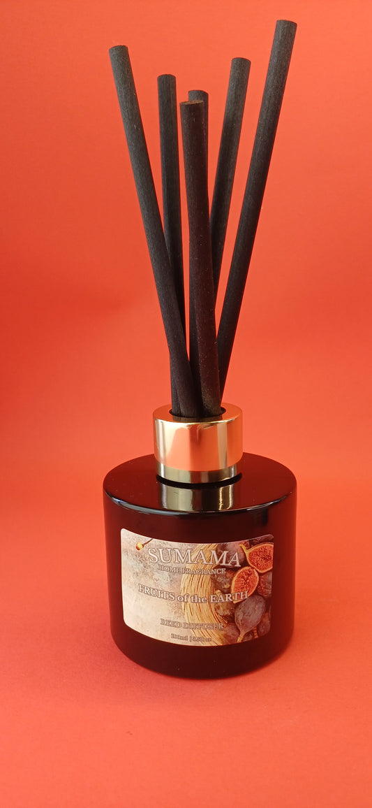 Fruits of the Earth 100ml Diffuser